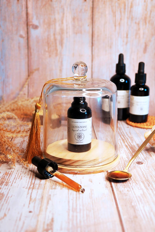 Lion's Mane 15:1 Liquid Extract Alcohol Free | ORGANIC