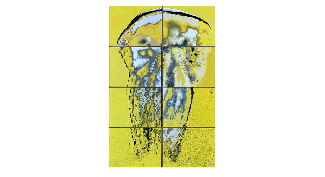 A yellow photogram of a medusa 