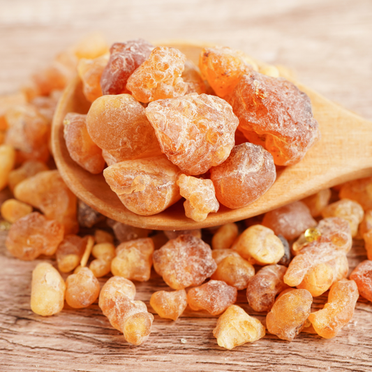 Frankincense Essential Oil Organic