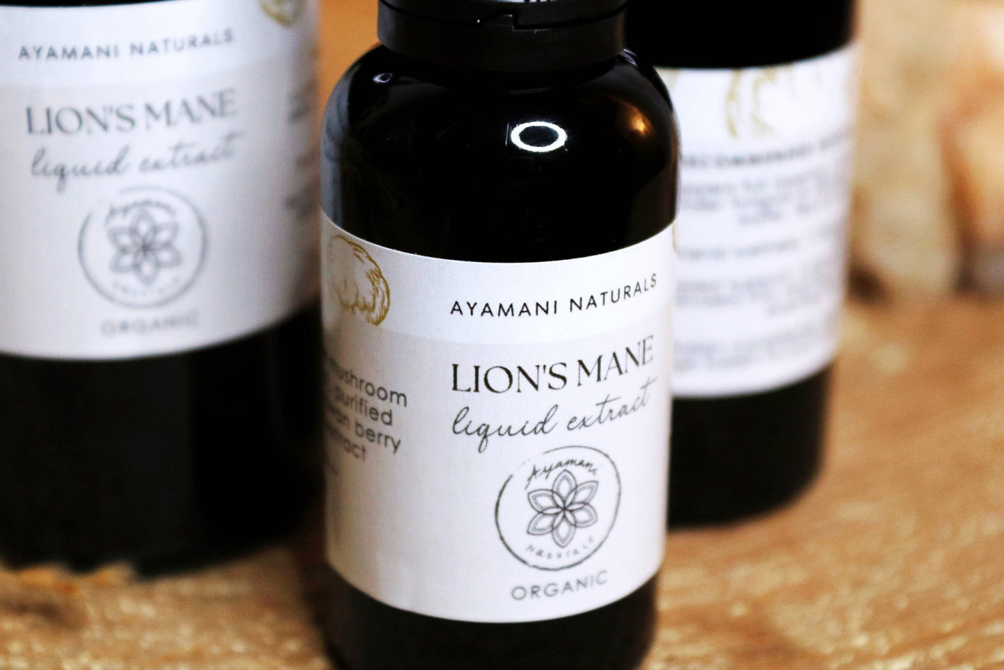 Lion's Mane 15:1 Liquid Extract Alcohol Free | ORGANIC