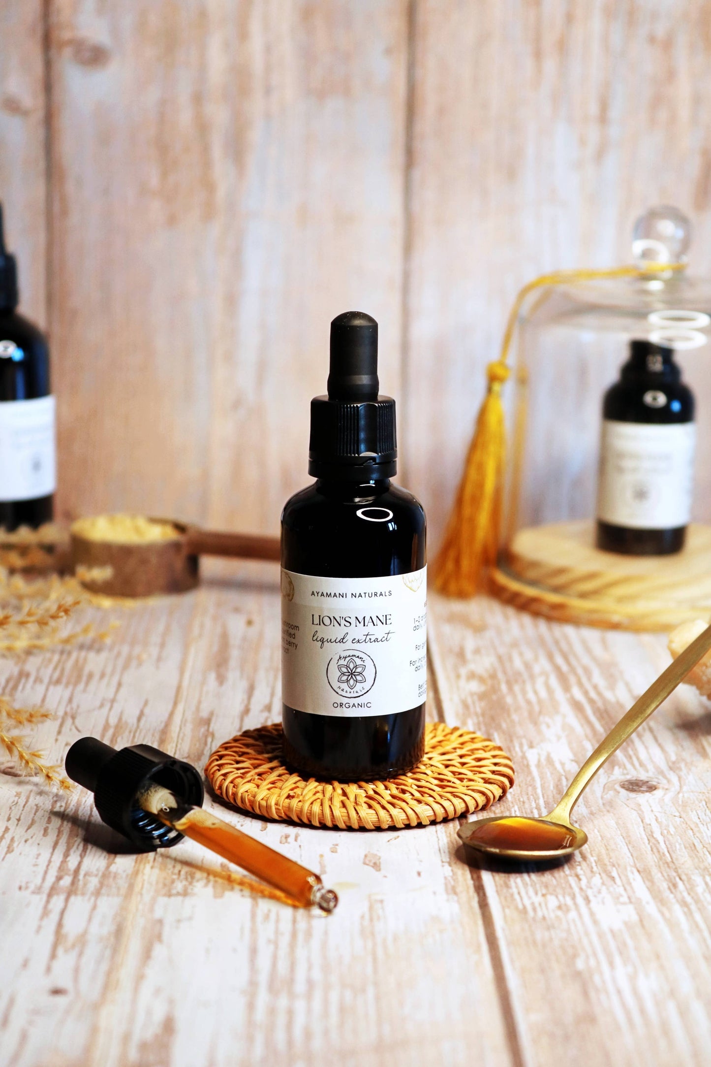Lion's Mane 15:1 Liquid Extract Alcohol Free | ORGANIC