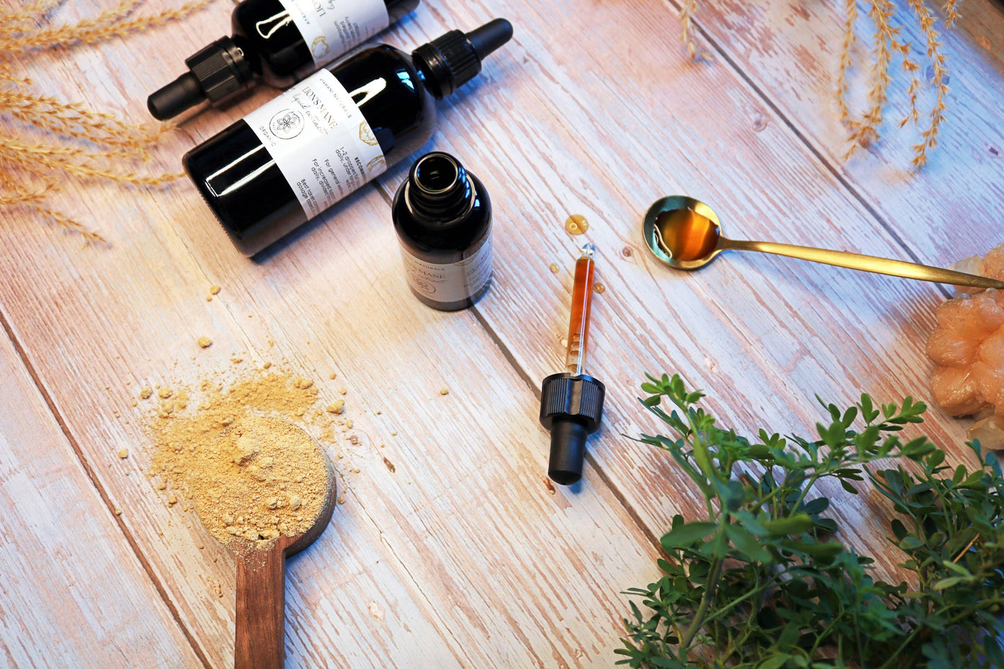 Lion's Mane 15:1 Liquid Extract Alcohol Free | ORGANIC