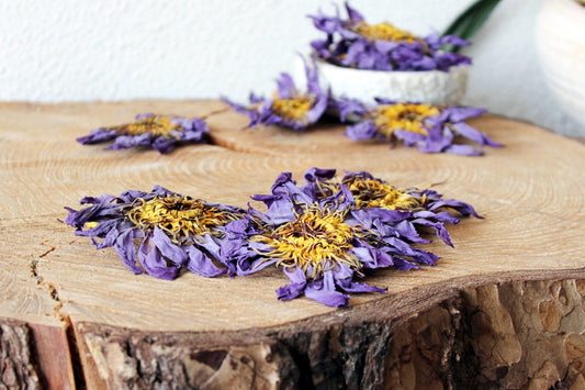 BLUE LOTUS WHOLE FLOWERS