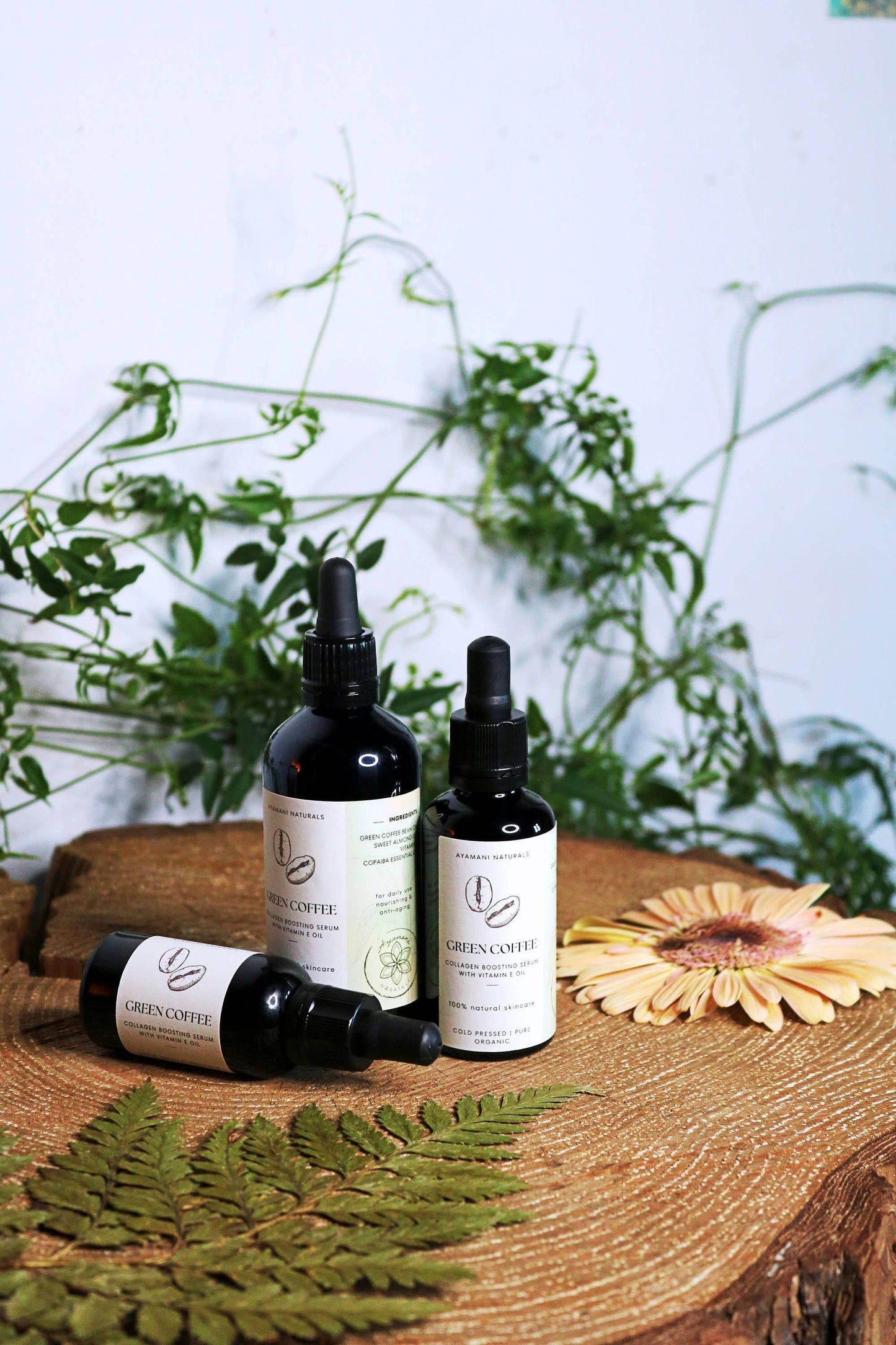 Green Coffee Collagen Boosting Anti Aging Serum with Copaiba, Natural Skincare Oil