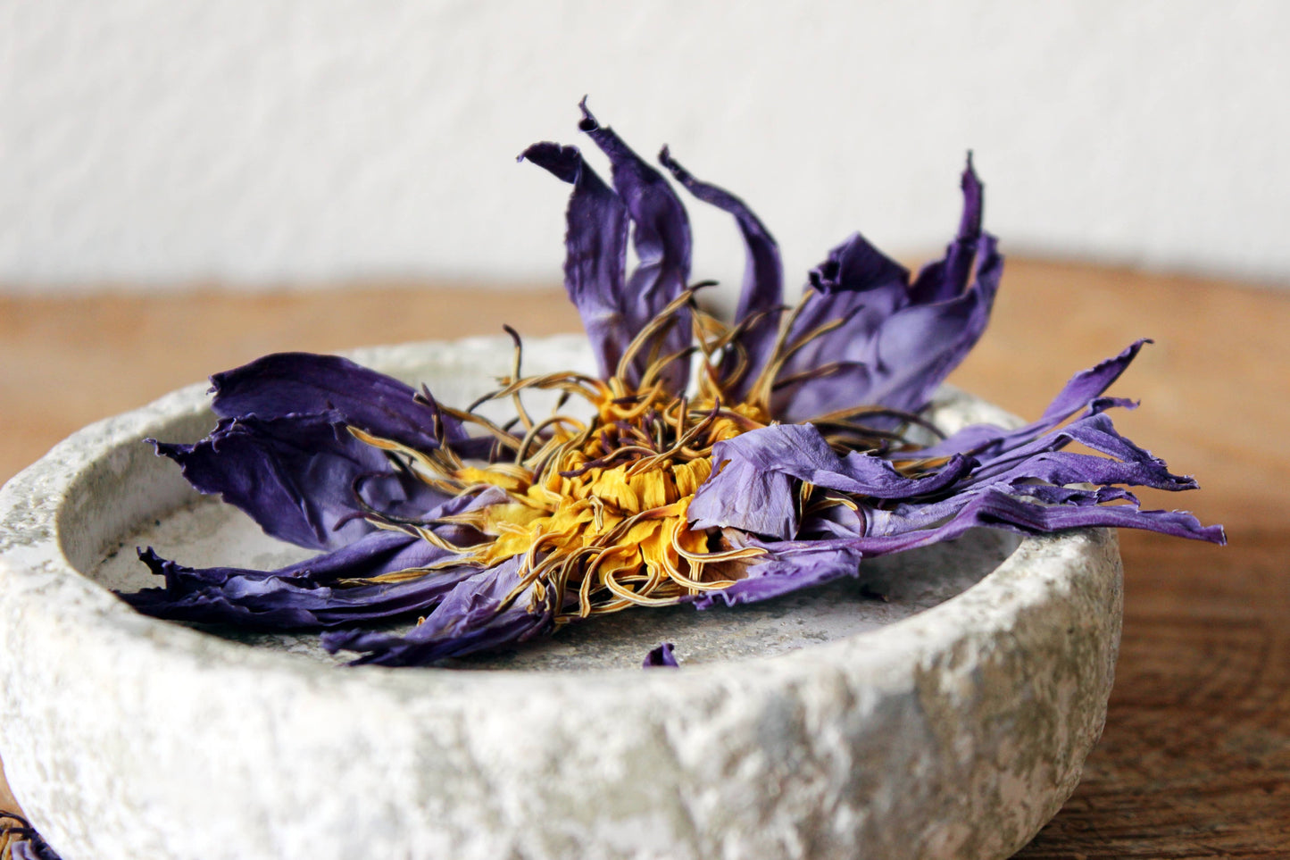 BLUE LOTUS WHOLE FLOWERS
