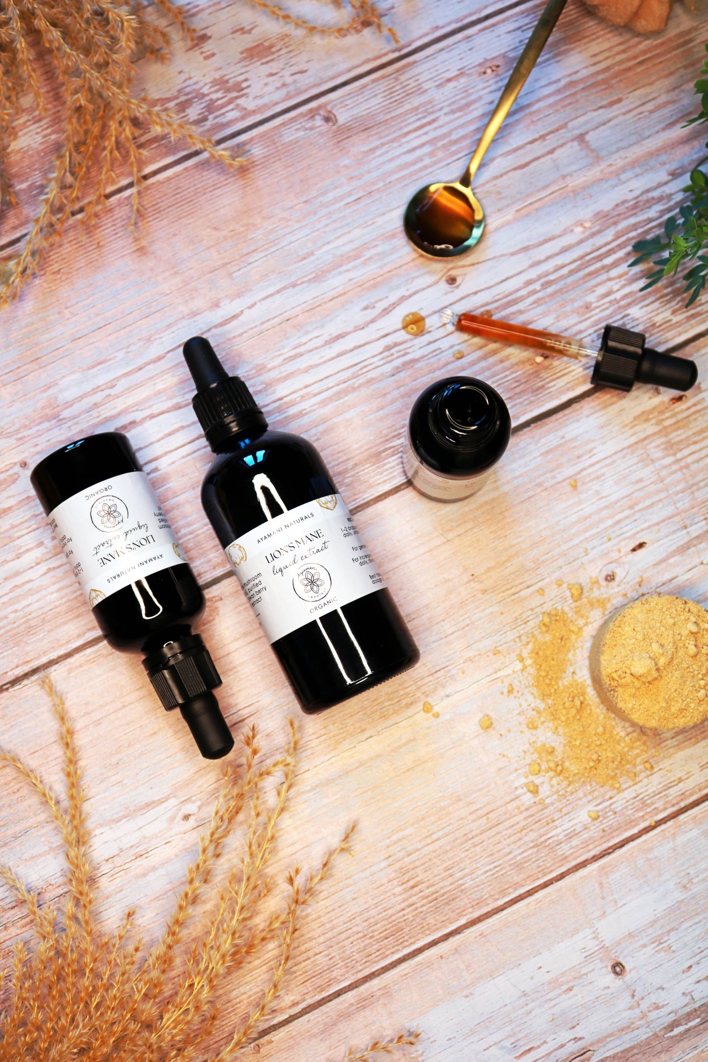 Lion's Mane 15:1 Liquid Extract Alcohol Free | ORGANIC