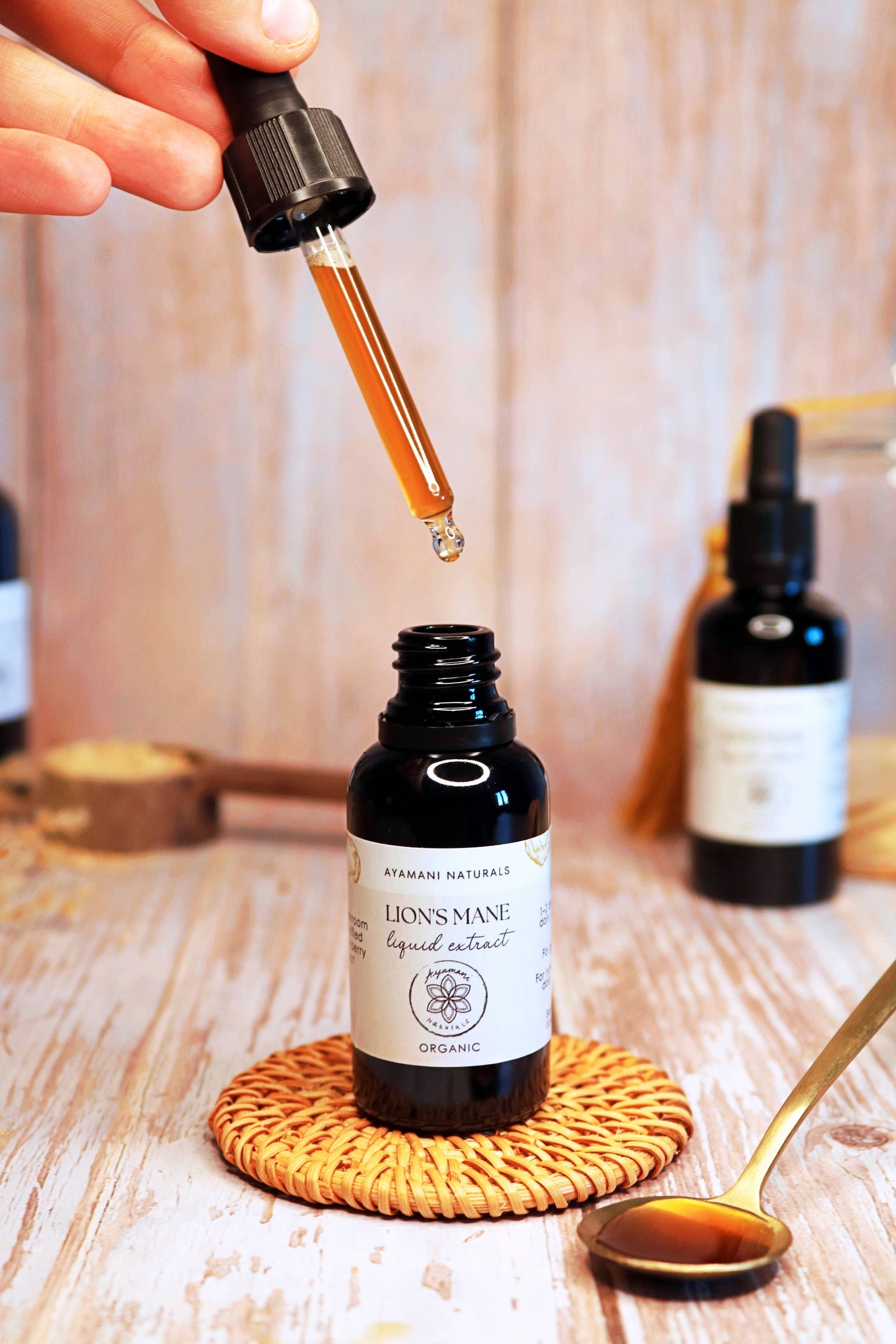 Lion's Mane 15:1 Liquid Extract Alcohol Free | ORGANIC
