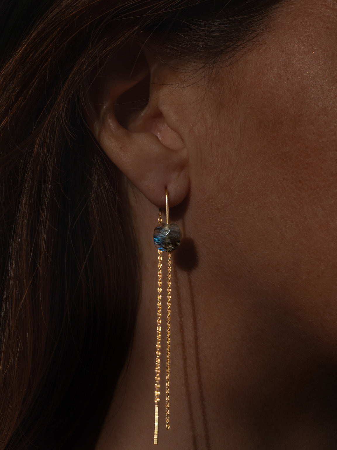 Labradorite Tassel Earrings