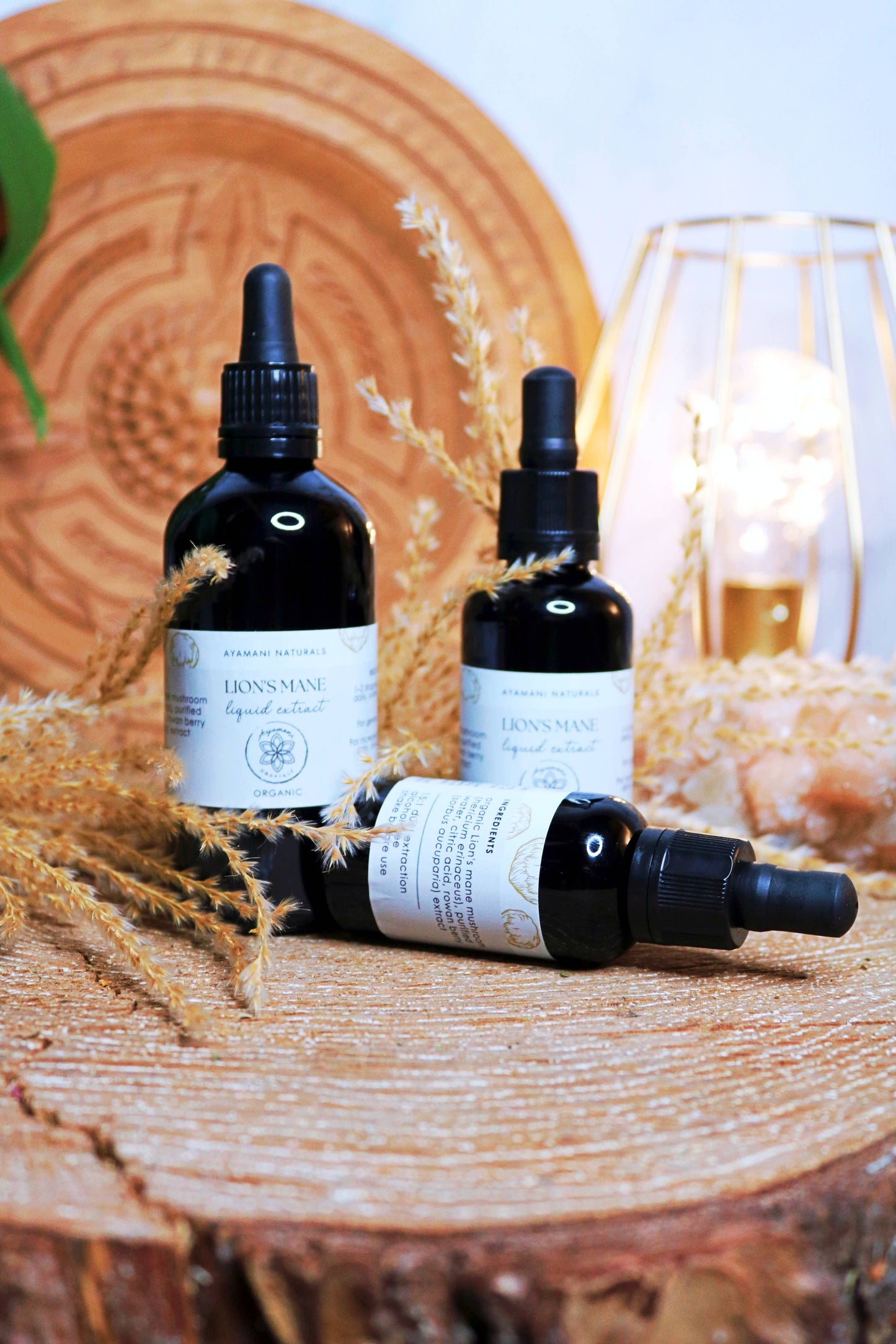 Lion's Mane 15:1 Liquid Extract Alcohol Free | ORGANIC