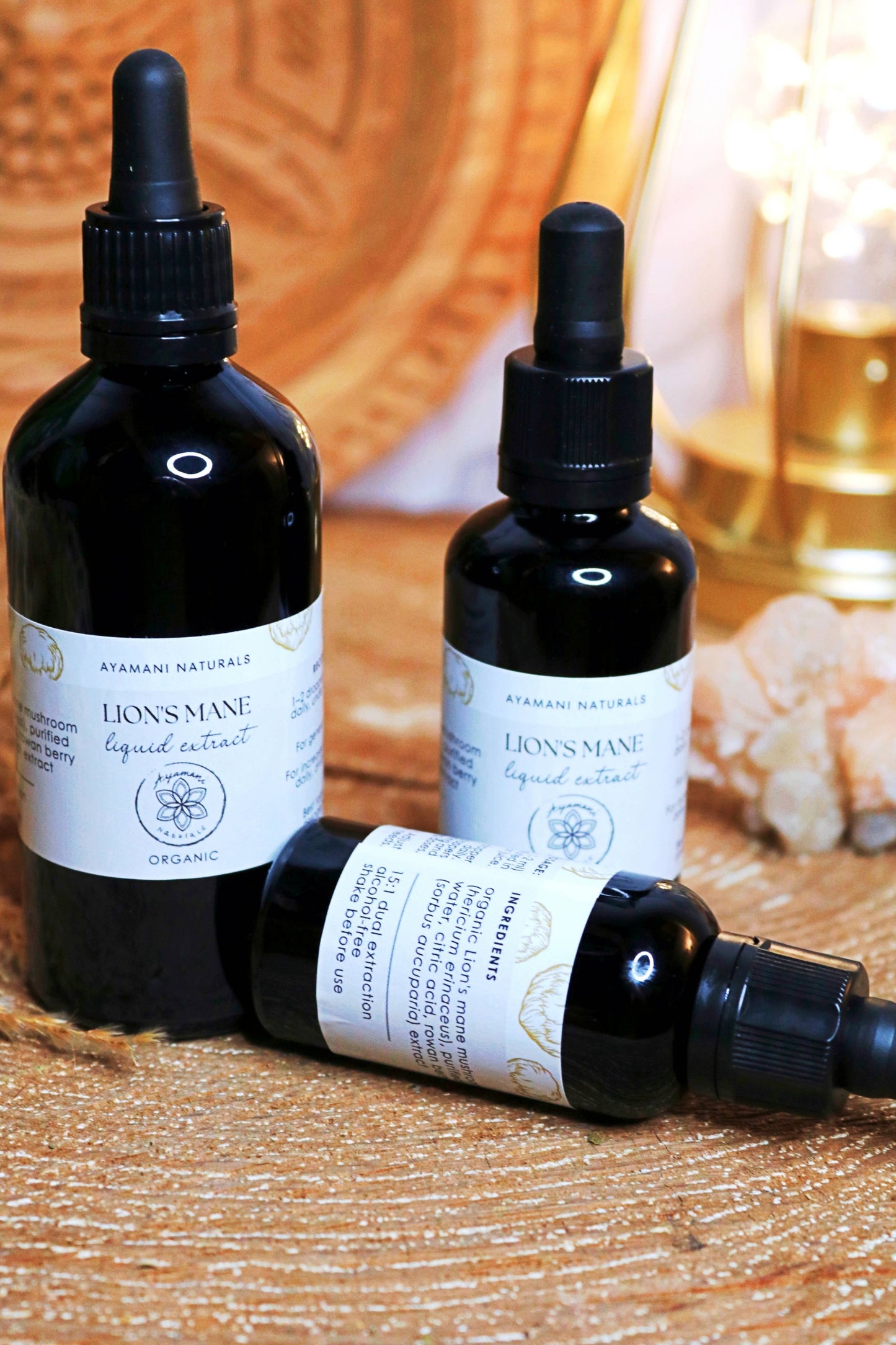 Lion's Mane 15:1 Liquid Extract Alcohol Free | ORGANIC