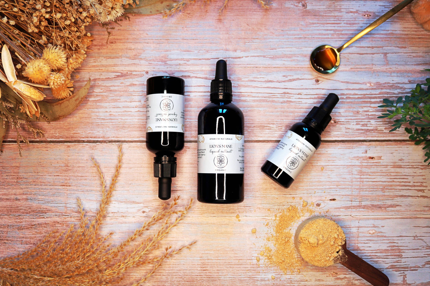 Lion's Mane 15:1 Liquid Extract Alcohol Free | ORGANIC